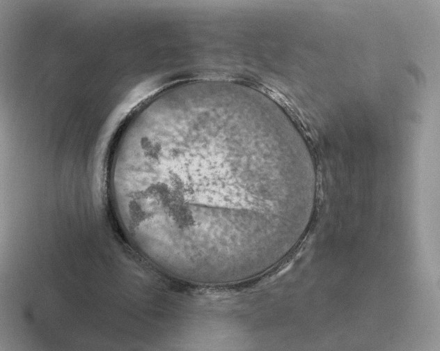 X0000116550343201001071120