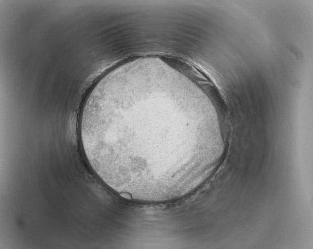 X0000116550345201001071120