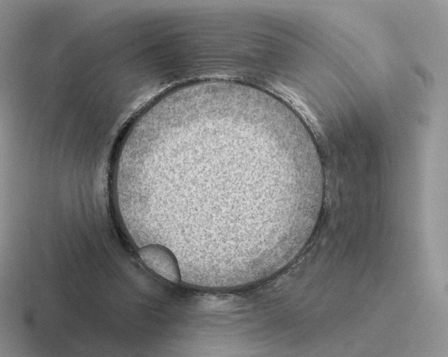 X0000116550346201001071120