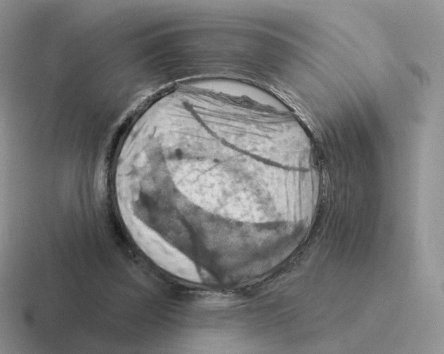 X0000116550347201001071120