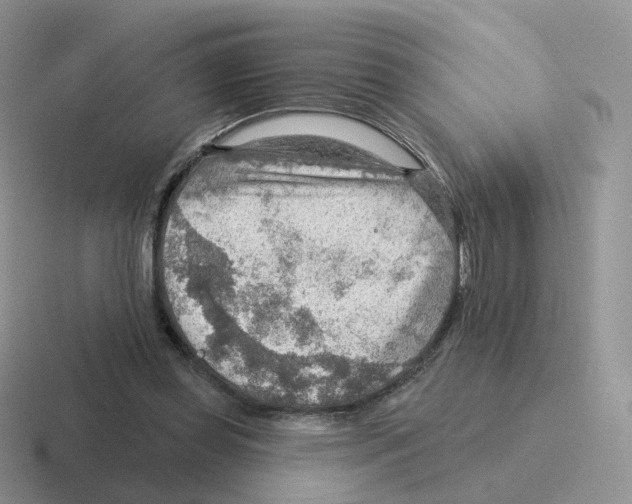 X0000116550349201001071120