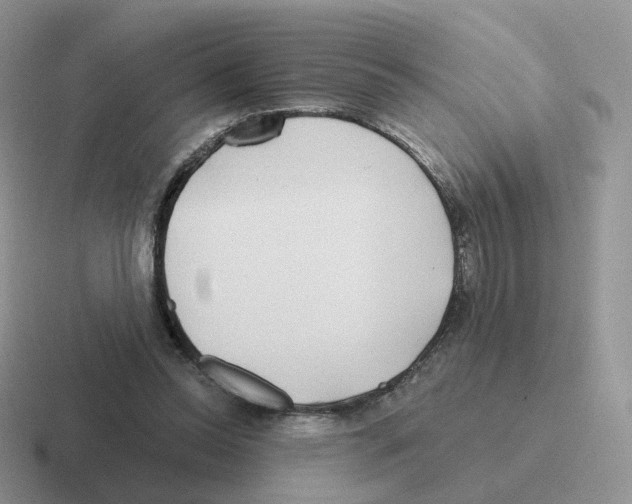 X0000116550350201001071120