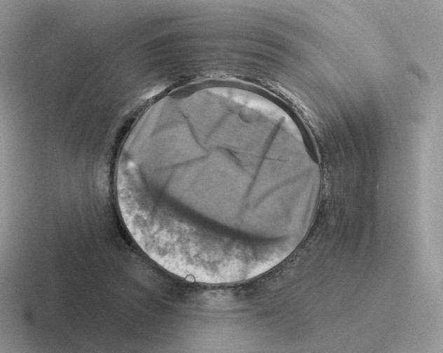 X0000116550353201001071120