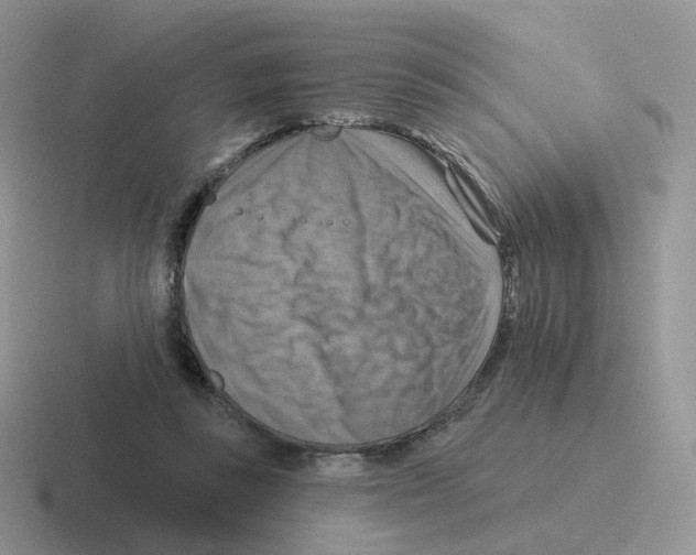 X0000116550355201001071120