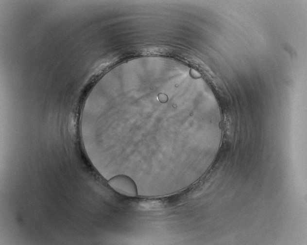 X0000116550357201001071120