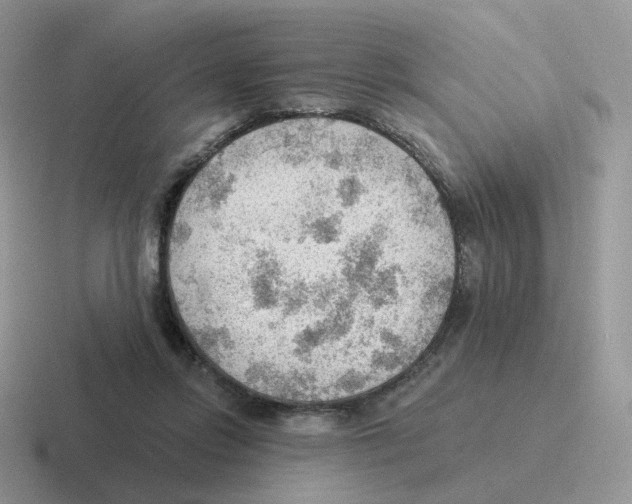 X0000116550358201001071120