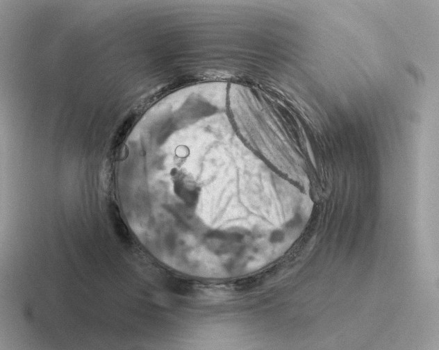 X0000116550359201001071120