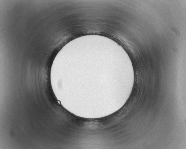 X0000116550362201001071120