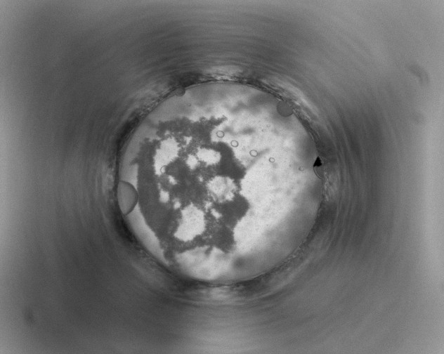 X0000116550365201001071120