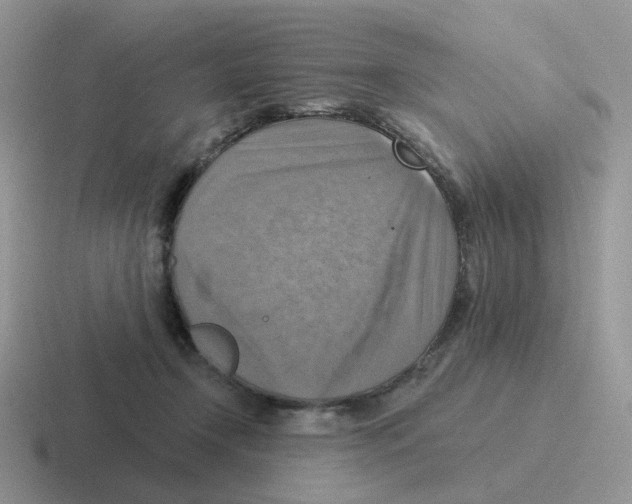 X0000116550366201001071120