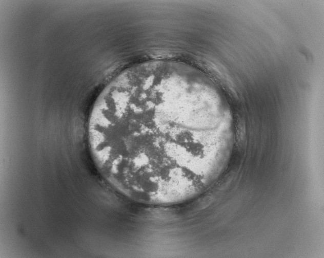 X0000116550367201001071120