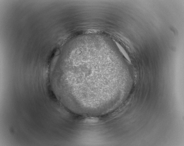 X0000116550369201001071120