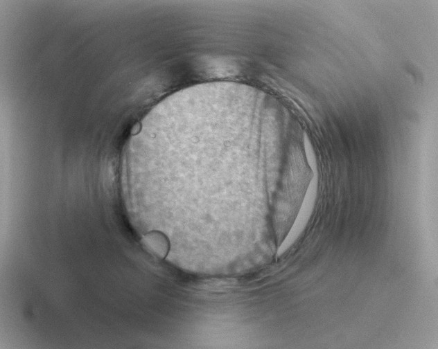 X0000116550373201001071120