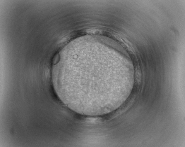 X0000116550375201001071120