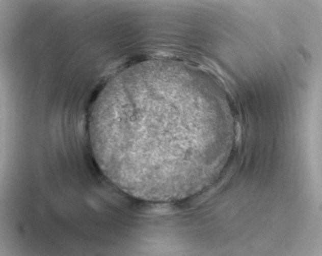 X0000116550377201001071120