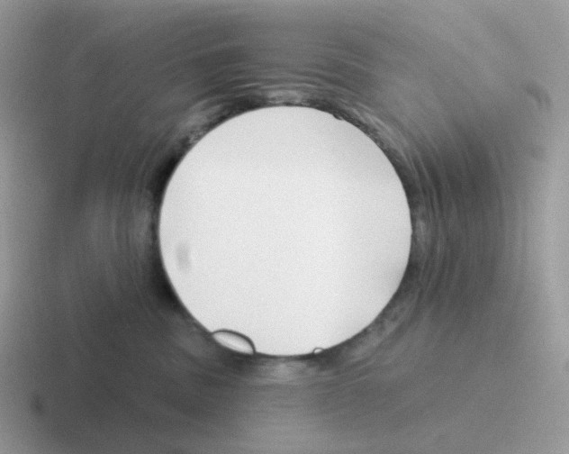 X0000116550379201001071120