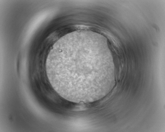 X0000116550381201001071120