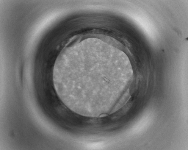 X0000116550383201001071120