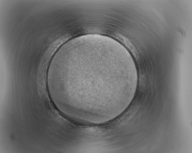 X0000116550385201001071120