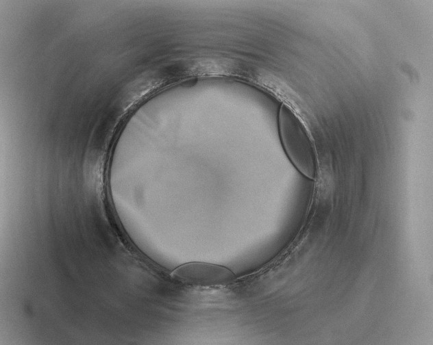 X0000116550386201001071120