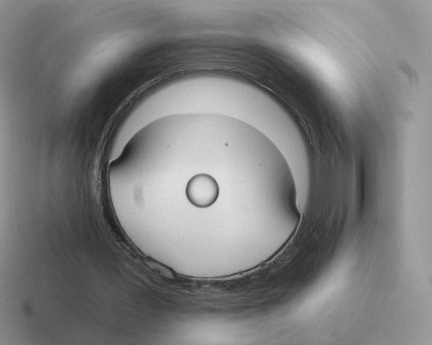 X0000116550387201001071120