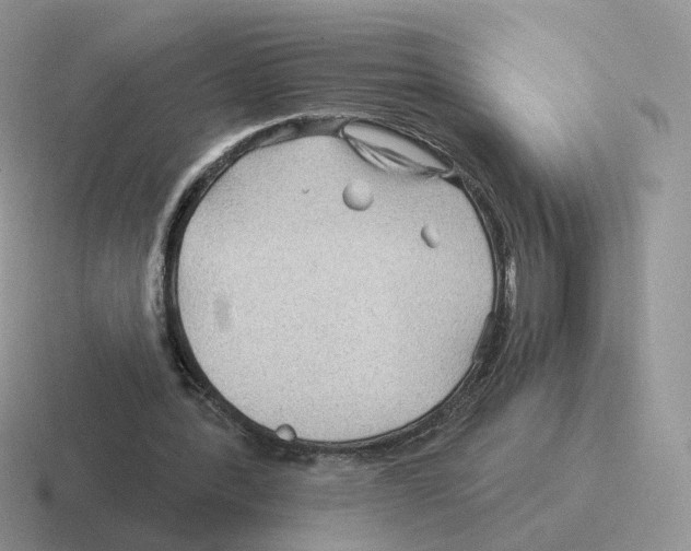 X0000116550388201001071120