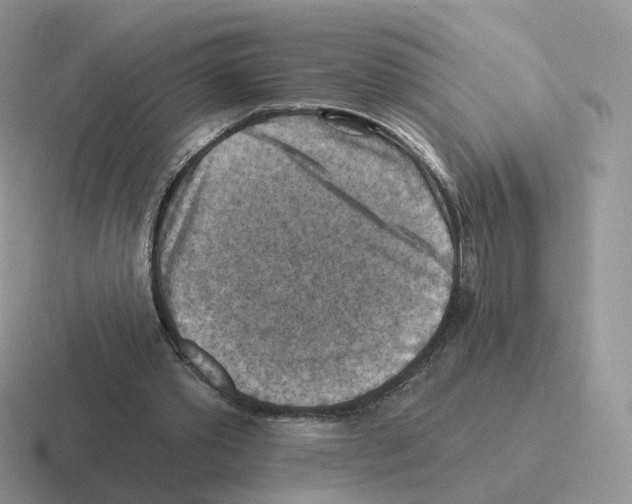 X0000116550389201001071120