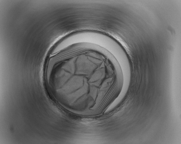 X0000116550391201001071120