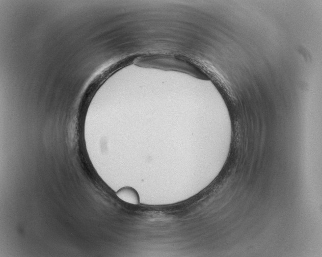 X0000116550392201001071120