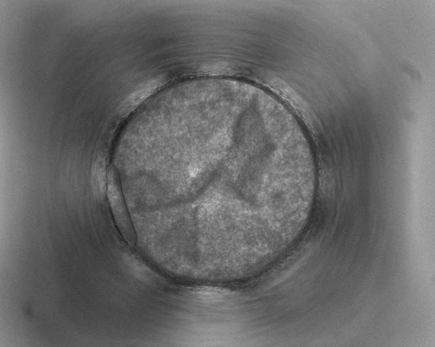 X0000116550393201001071120