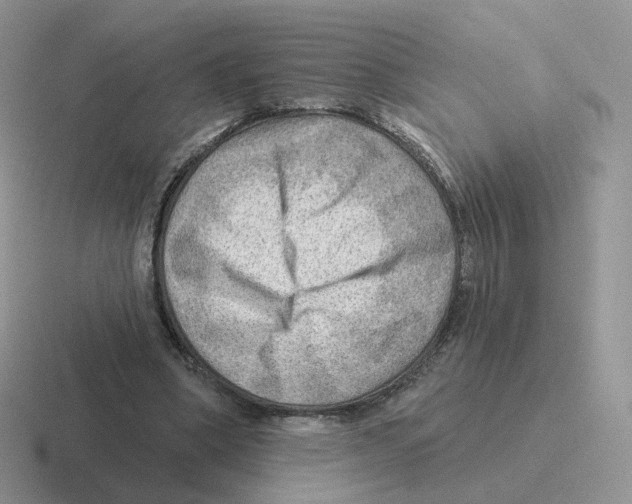 X0000116550394201001071120