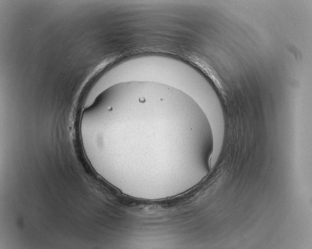 X0000116550395201001071120