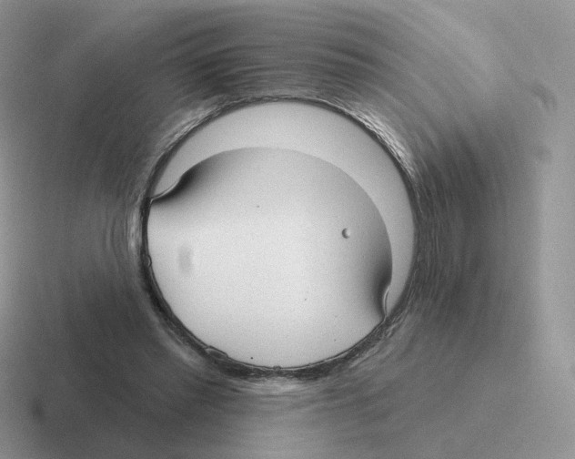 X0000116550397201001071120