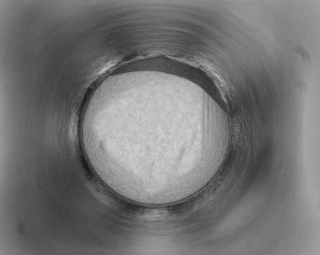 X0000116550398201001071120