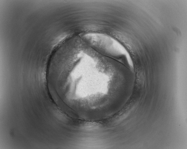 X0000116550399201001071120