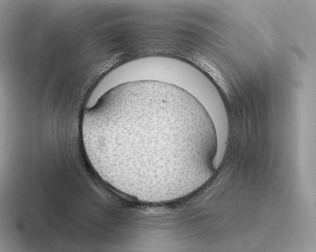 X0000116550401201001071120