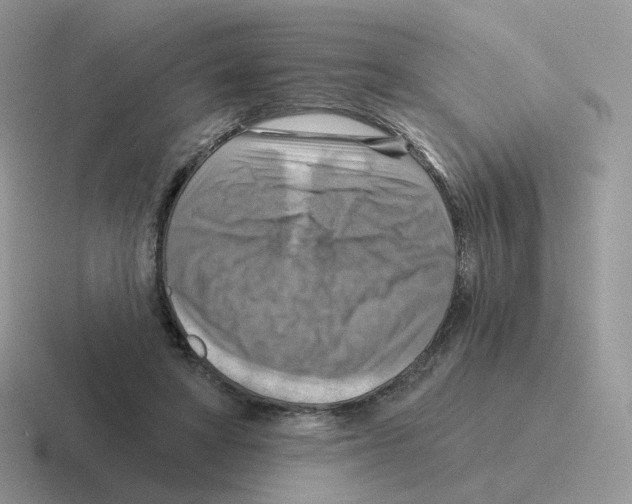 X0000116550402201001071120