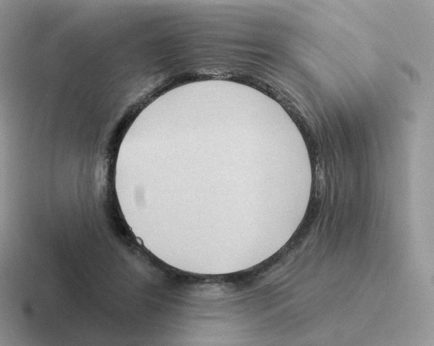 X0000116550404201001071120