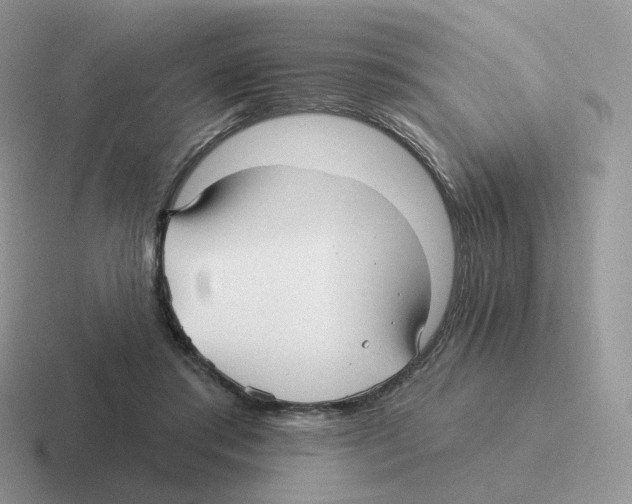 X0000116550405201001071120