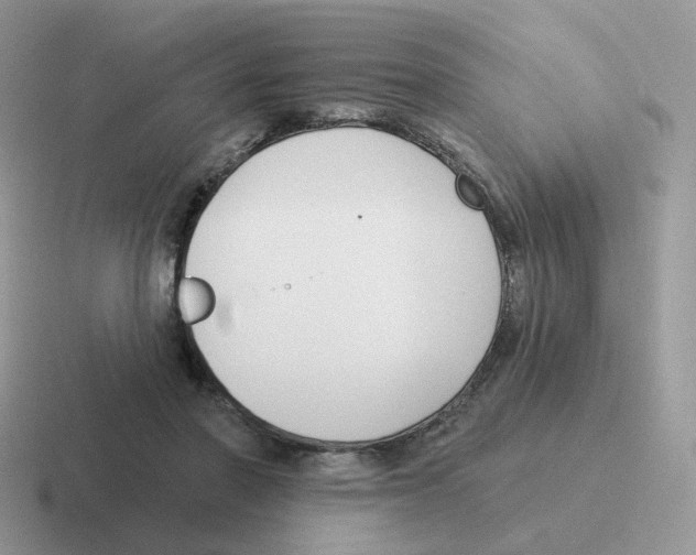 X0000116550406201001071120