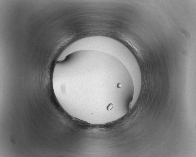 X0000116550407201001071120