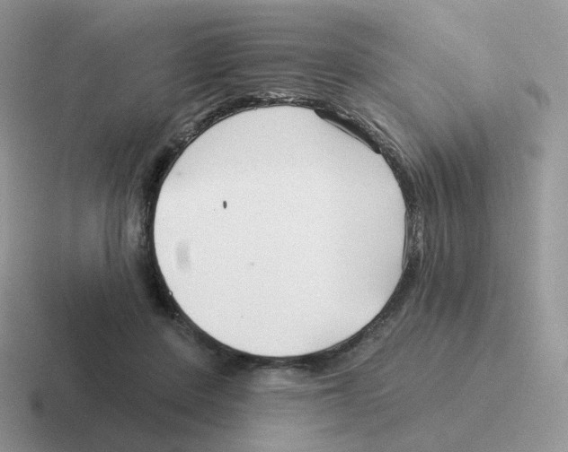 X0000116550408201001071120