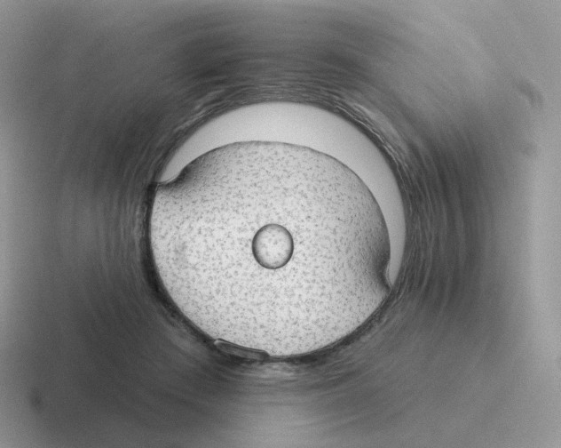 X0000116550409201001071120