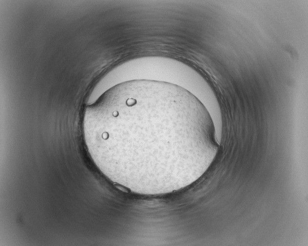 X0000116550411201001071120