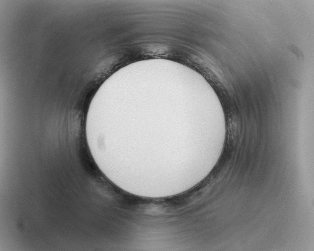 X0000116550412201001071120