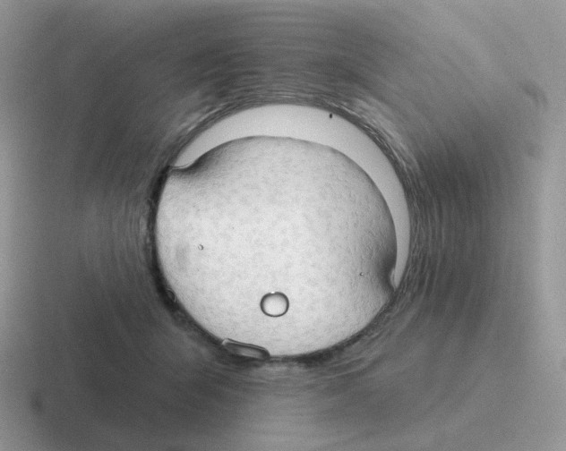 X0000116550415201001071119