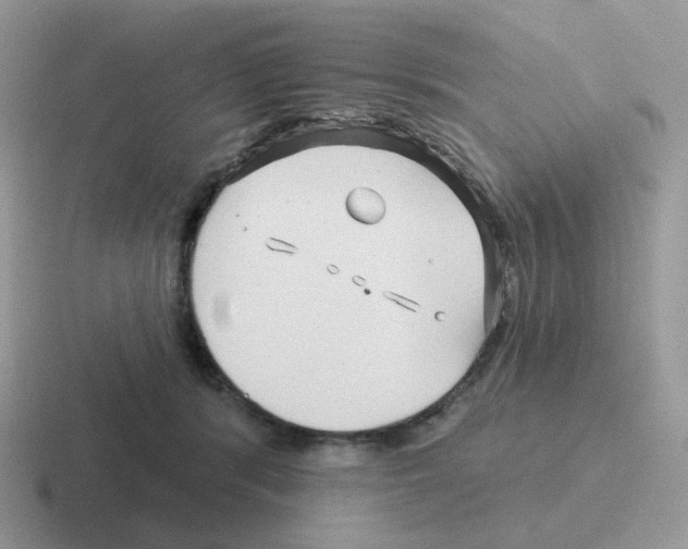 X0000116550416201001071119