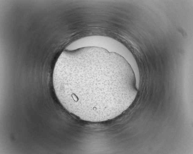 X0000116550417201001071119