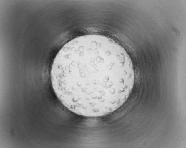 X0000116550418201001071119