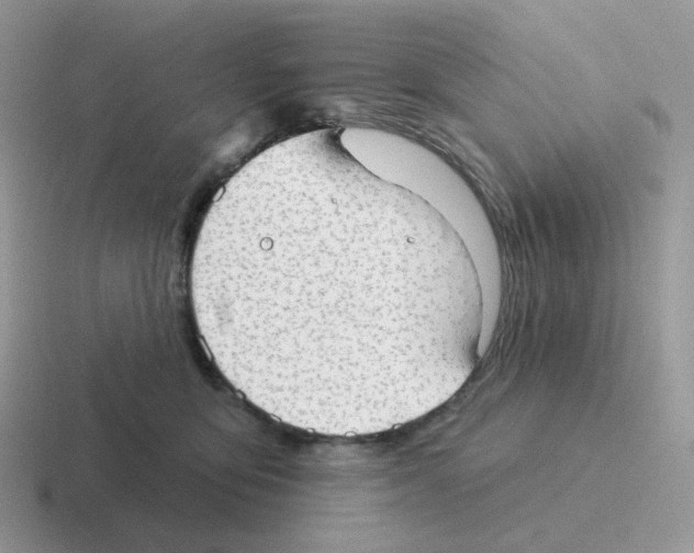 X0000116550419201001071119